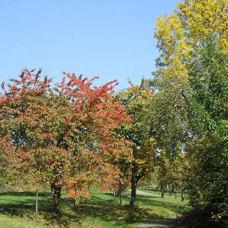 Ferienwohnung Schauinsland